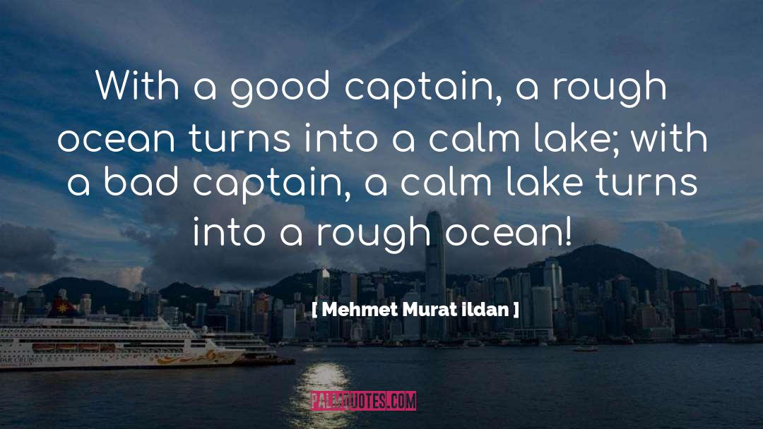 Moonlight Ocean quotes by Mehmet Murat Ildan