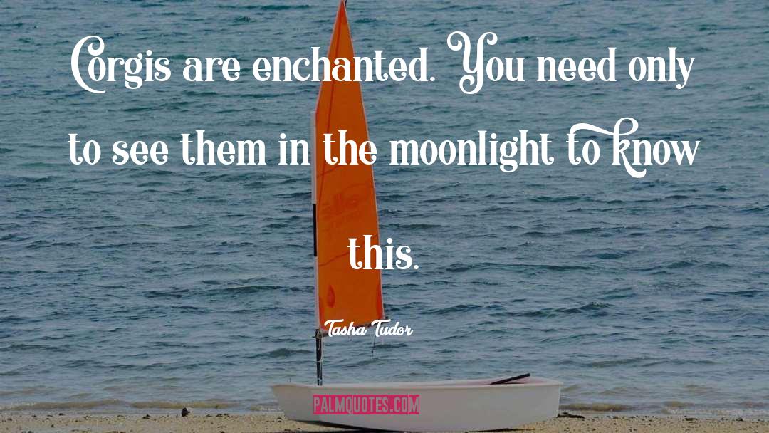 Moonlight quotes by Tasha Tudor