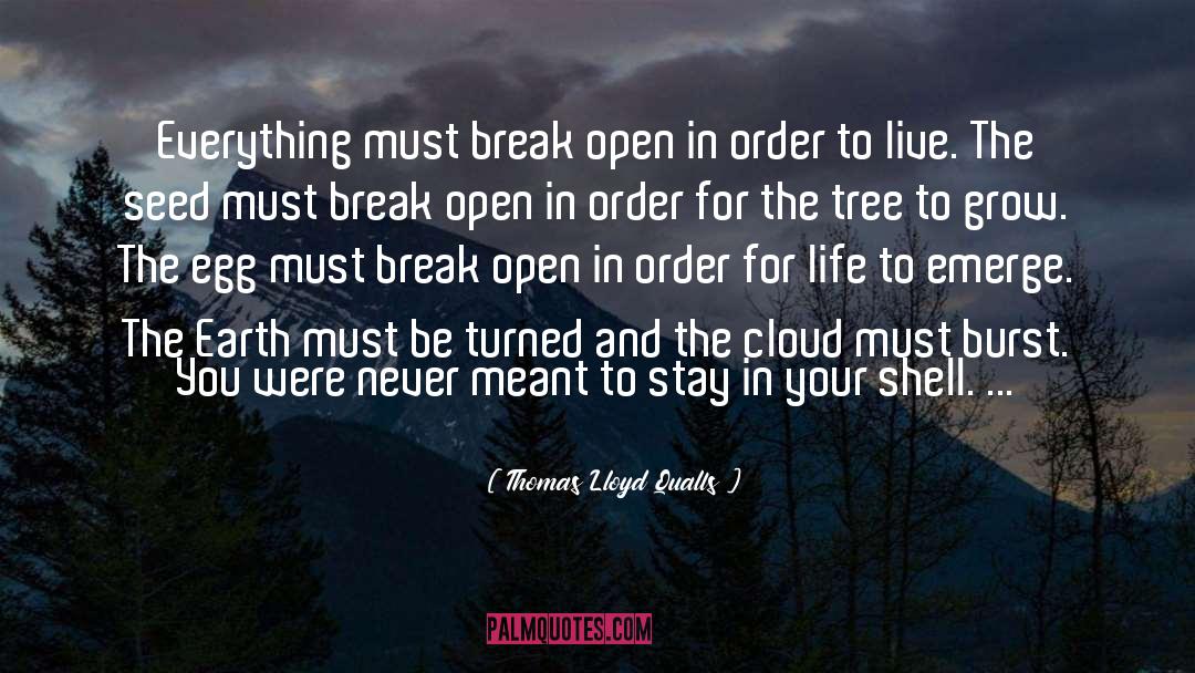 Moonlit Tree quotes by Thomas Lloyd Qualls