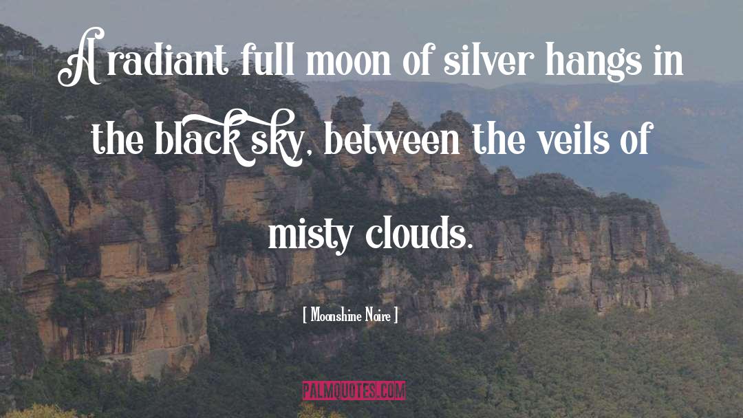 Moonshine quotes by Moonshine Noire