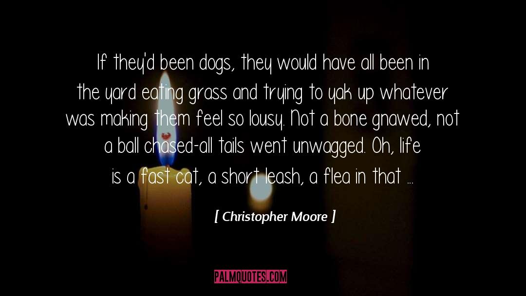 Moore quotes by Christopher Moore