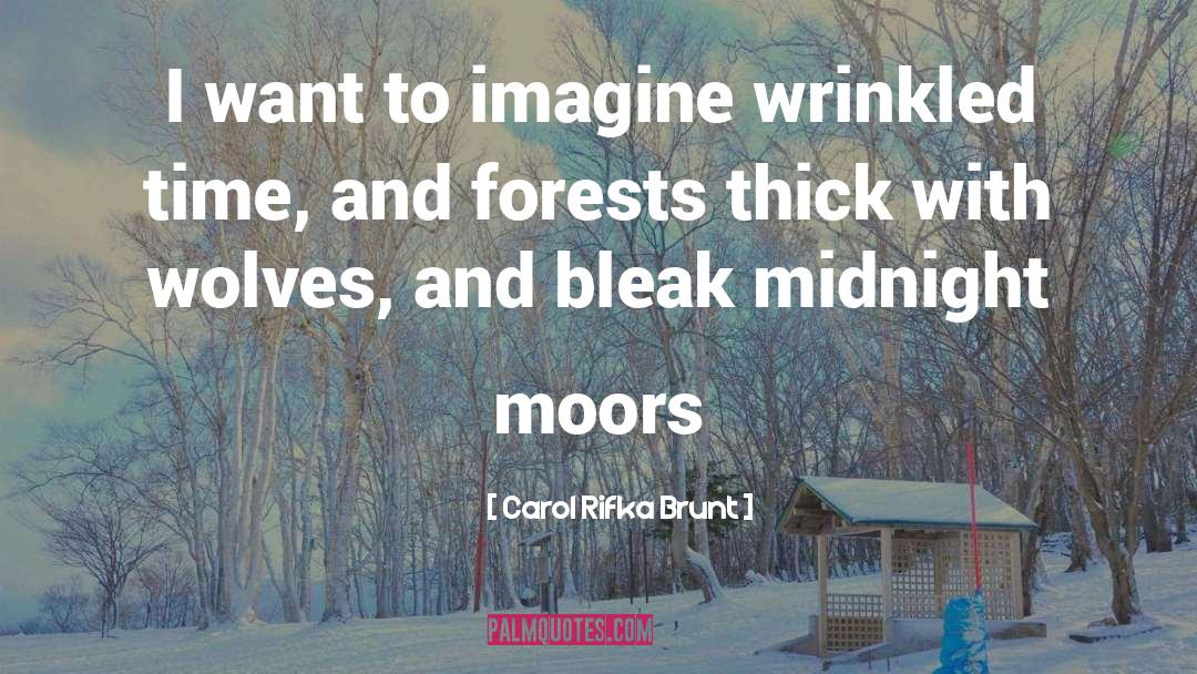 Moors quotes by Carol Rifka Brunt