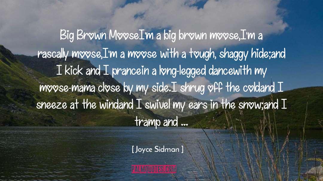 Moose quotes by Joyce Sidman