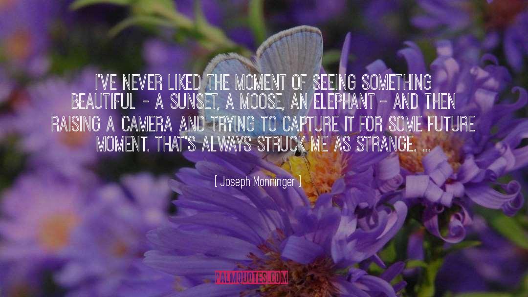Moose quotes by Joseph Monninger