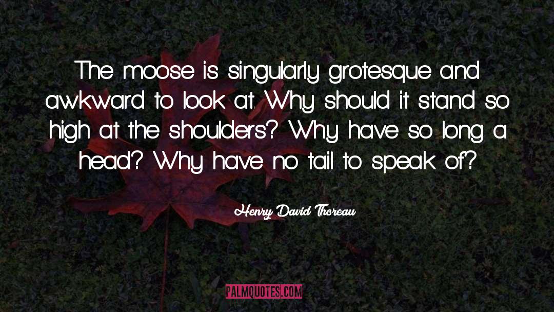 Moose quotes by Henry David Thoreau