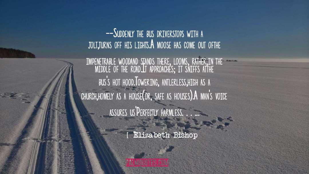 Moose quotes by Elizabeth Bishop