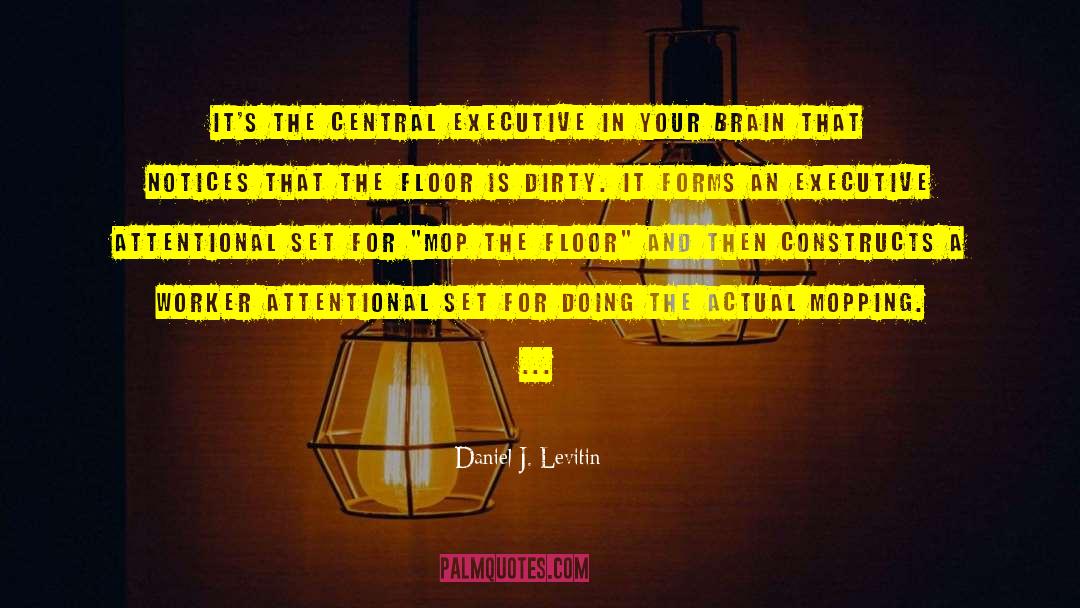 Mopping quotes by Daniel J. Levitin