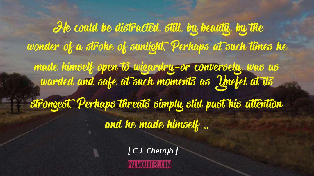 Moral Beauty quotes by C.J. Cherryh
