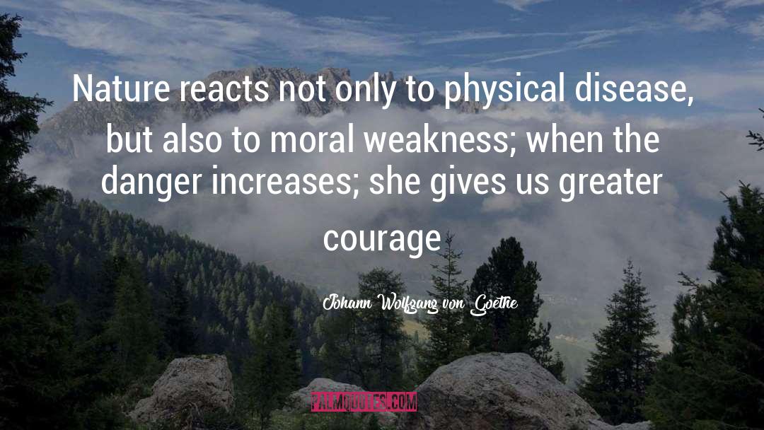 Moral Excellence quotes by Johann Wolfgang Von Goethe