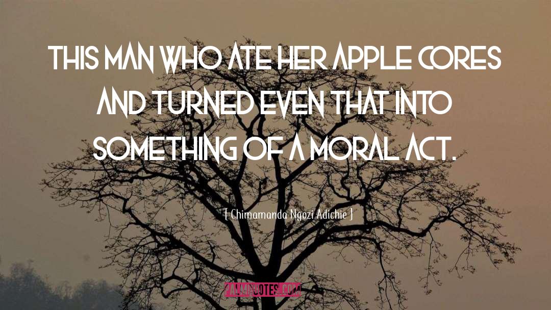 Moral Man And Immoral Society quotes by Chimamanda Ngozi Adichie