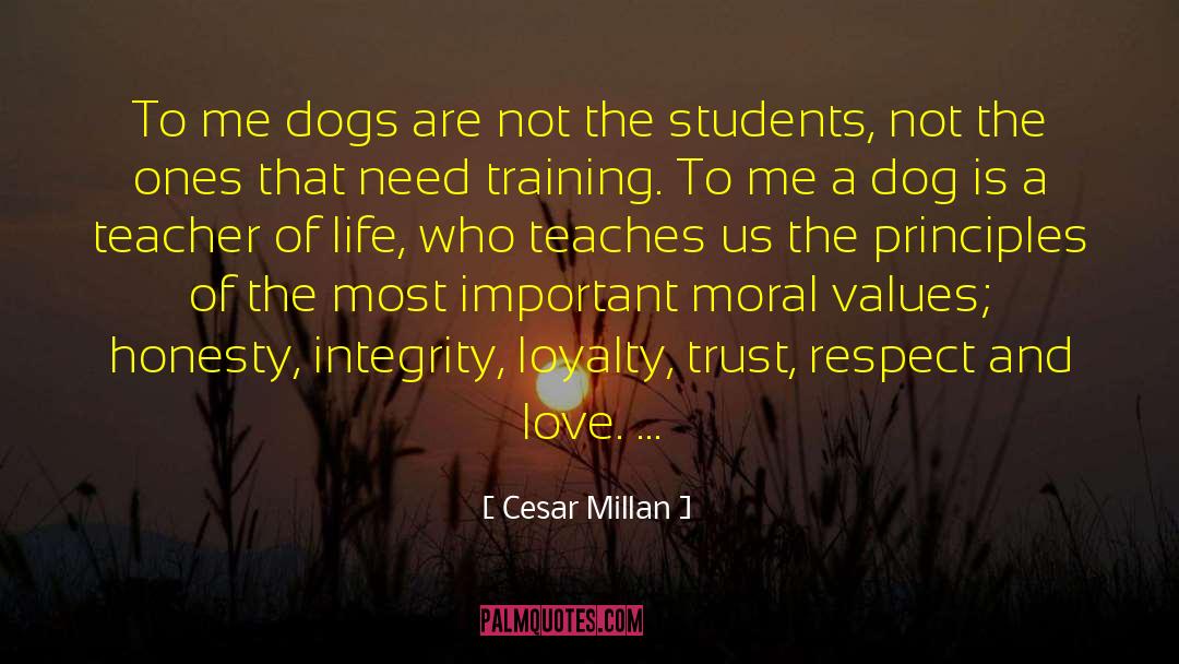 Moral Values quotes by Cesar Millan