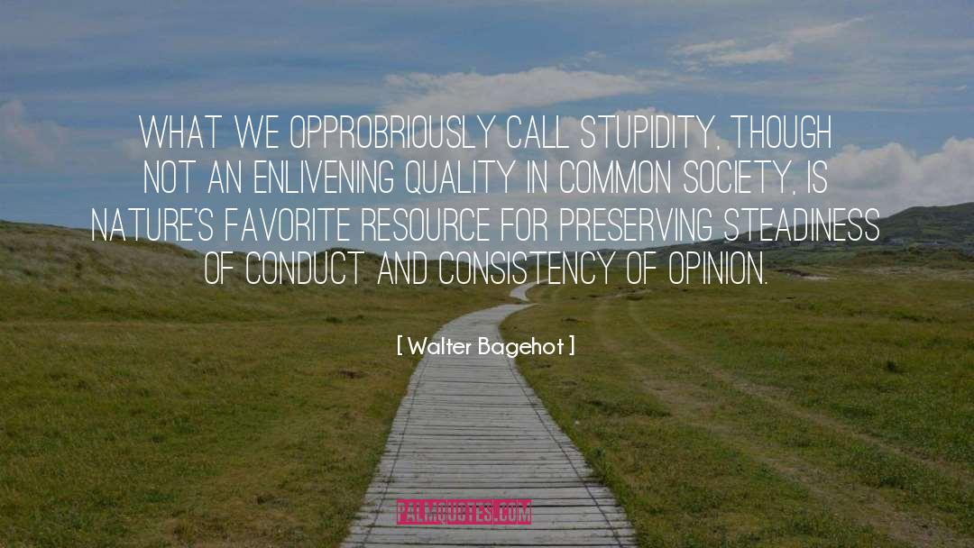 Morality Of Society quotes by Walter Bagehot