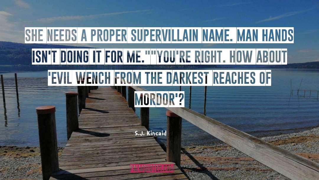 Mordor quotes by S.J. Kincaid