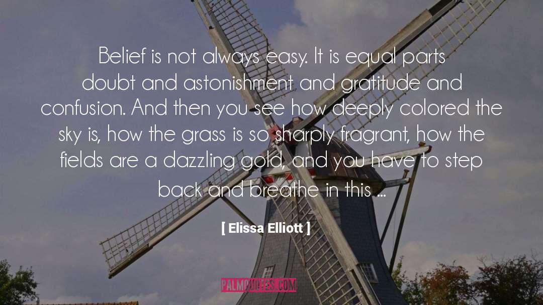 More Abundant quotes by Elissa Elliott