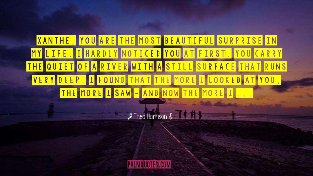 More Beautiful You Become quotes by Thea Harrison