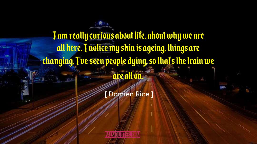 More Curious quotes by Damien Rice
