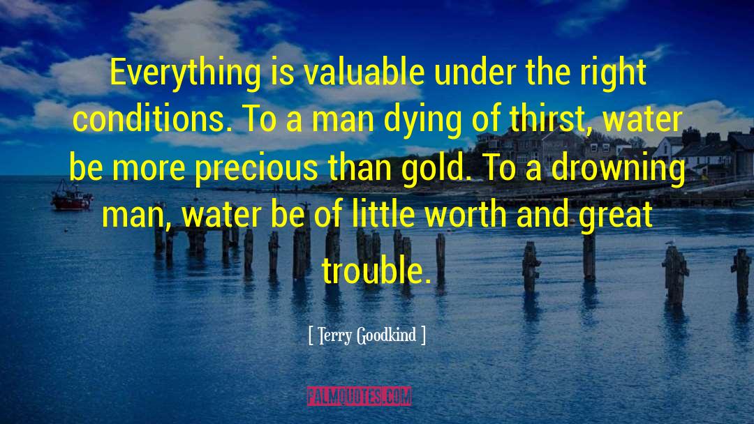 More Precious Than Gold quotes by Terry Goodkind