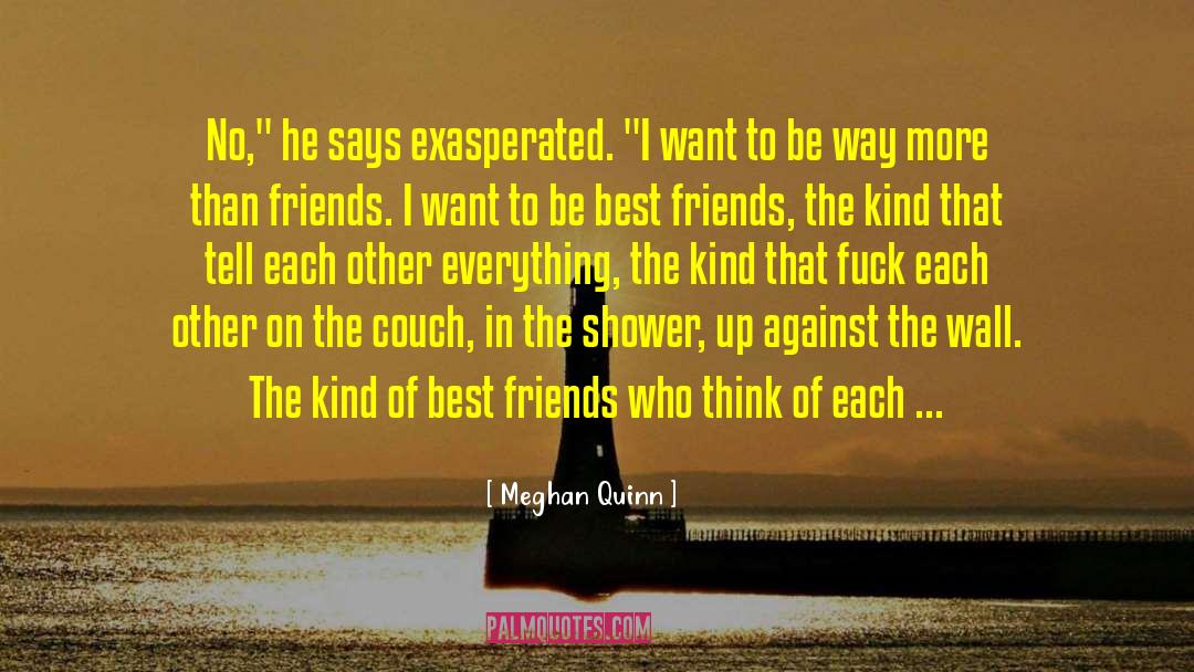 More Than Friends quotes by Meghan Quinn