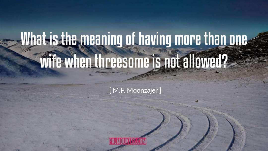 More Than One quotes by M.F. Moonzajer
