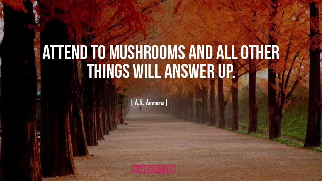 Morel Mushrooms quotes by A.R. Ammons