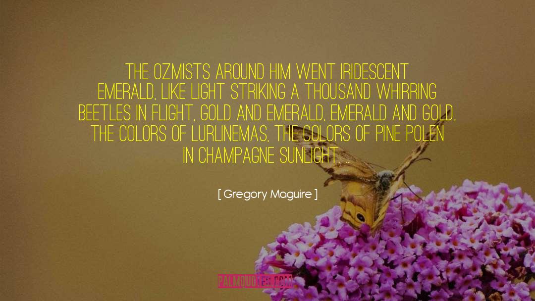 Morlet Champagne quotes by Gregory Maguire