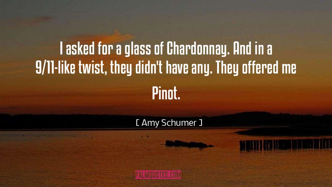 Morlet Chardonnay quotes by Amy Schumer