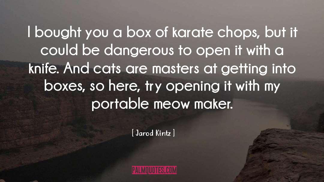 Mormando Karate quotes by Jarod Kintz