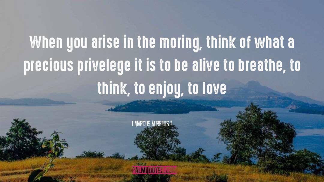 Morning Air quotes by Marcus Aurelius