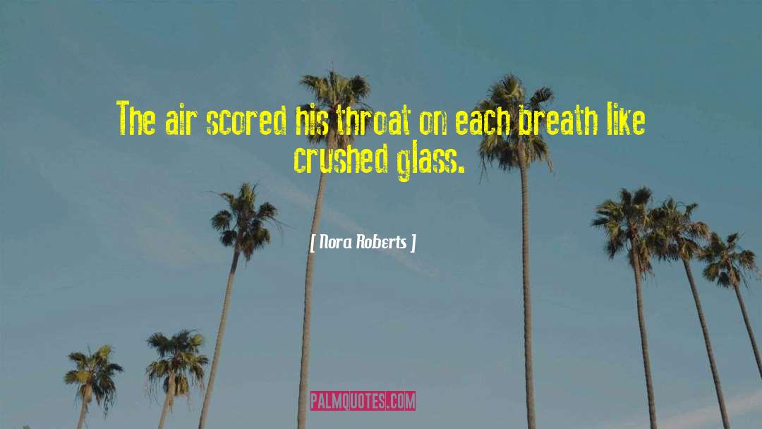 Morning Air quotes by Nora Roberts
