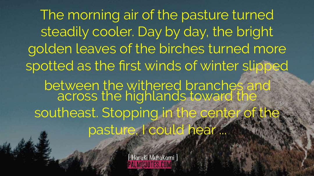 Morning Air quotes by Haruki Murakami
