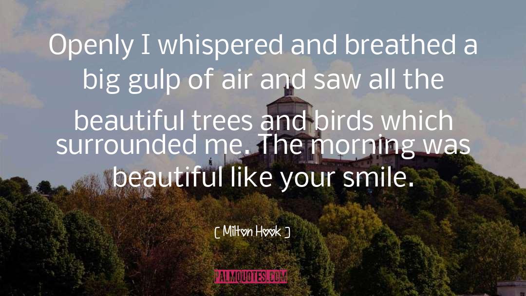 Morning Air quotes by Milton Hook