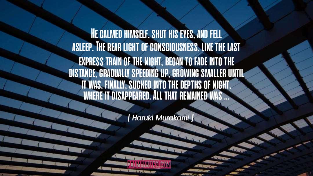 Morning And Night quotes by Haruki Murakami