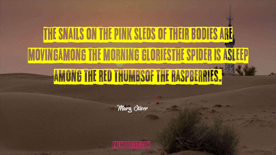 Morning Glories quotes by Mary Oliver