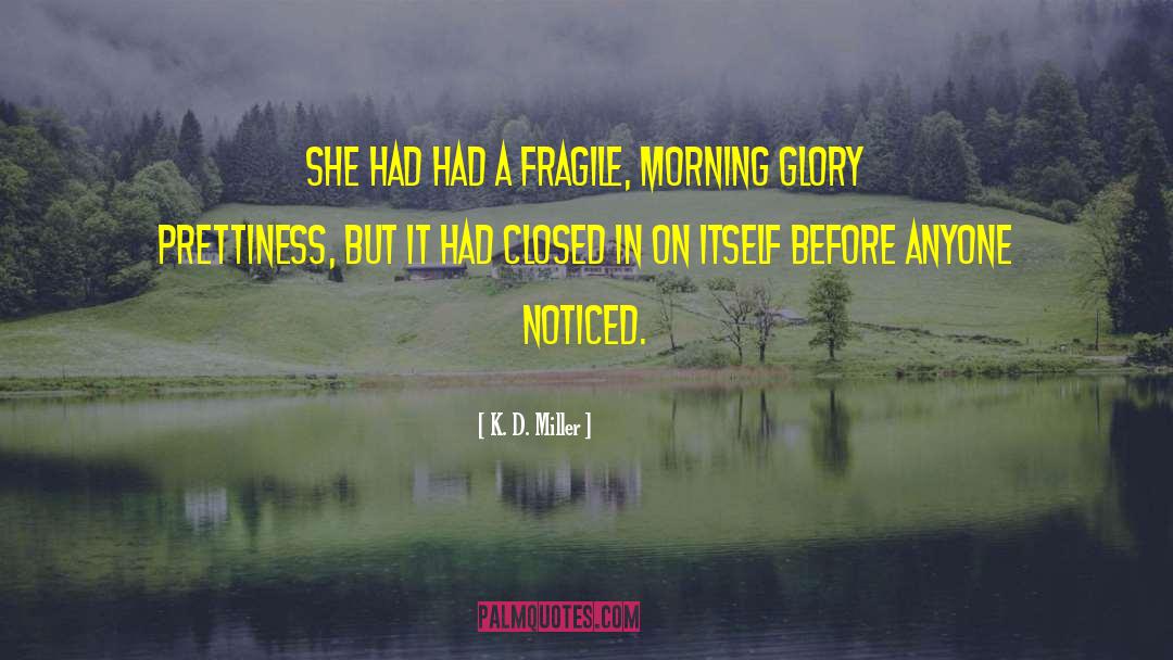 Morning Glory quotes by K. D. Miller