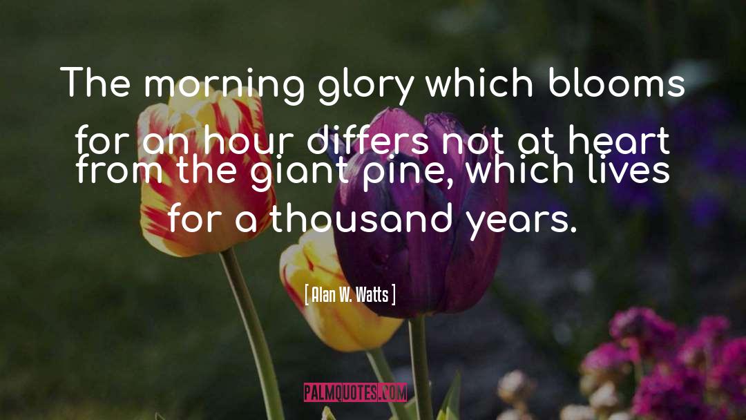 Morning Glory quotes by Alan W. Watts