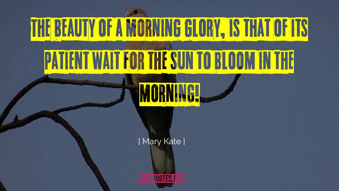 Morning Glory quotes by Mary Kate