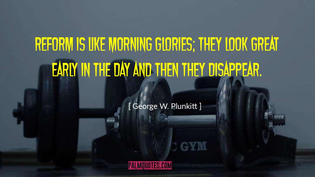 Morning Glory quotes by George W. Plunkitt