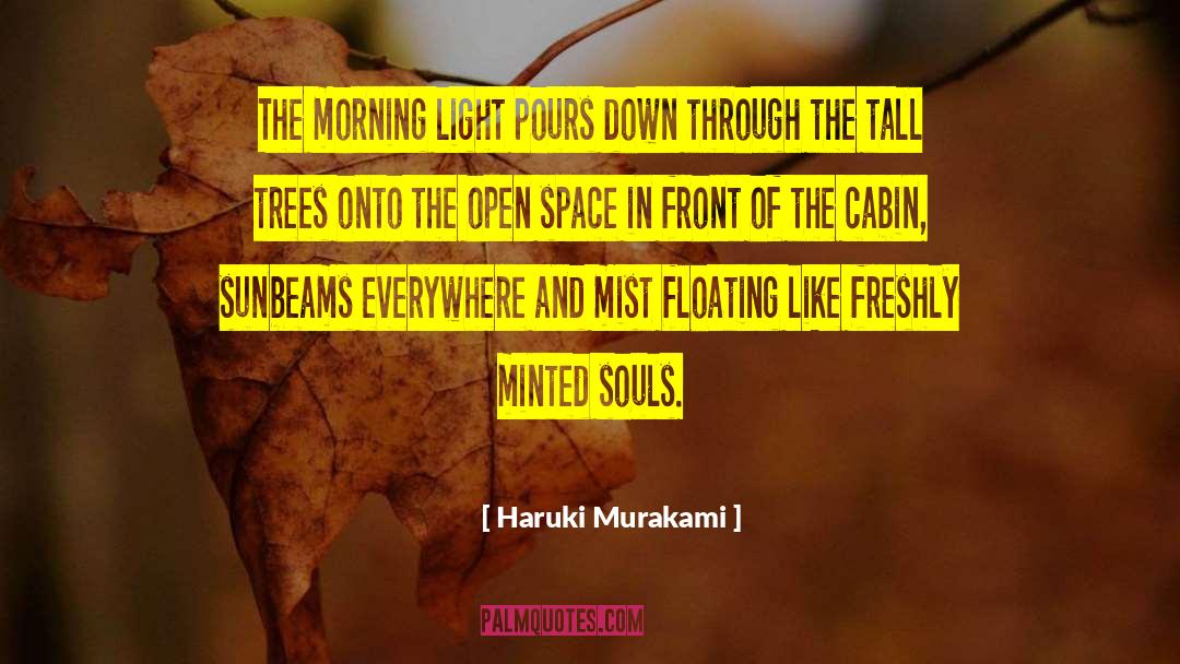 Morning Light quotes by Haruki Murakami