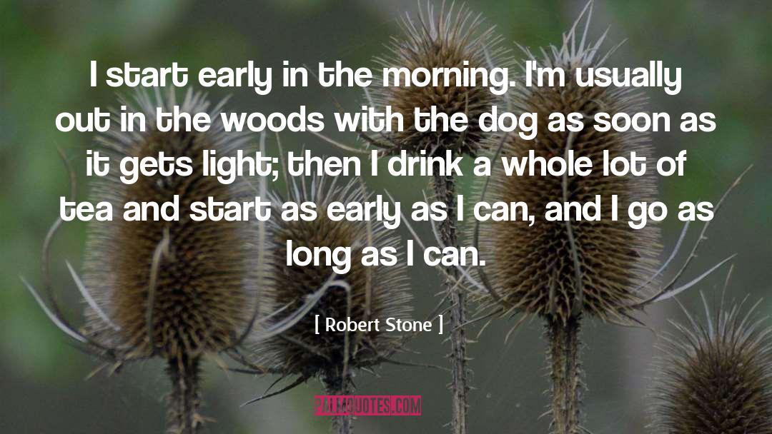 Morning Light quotes by Robert Stone