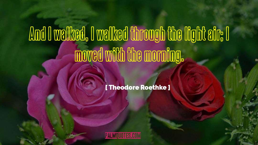 Morning Light quotes by Theodore Roethke