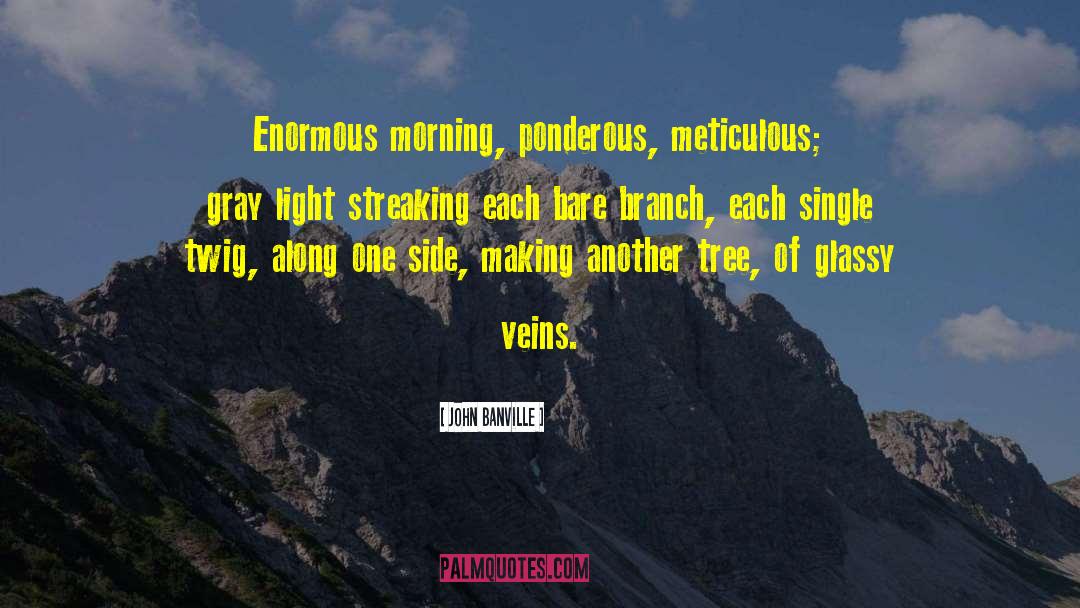 Morning Light quotes by John Banville