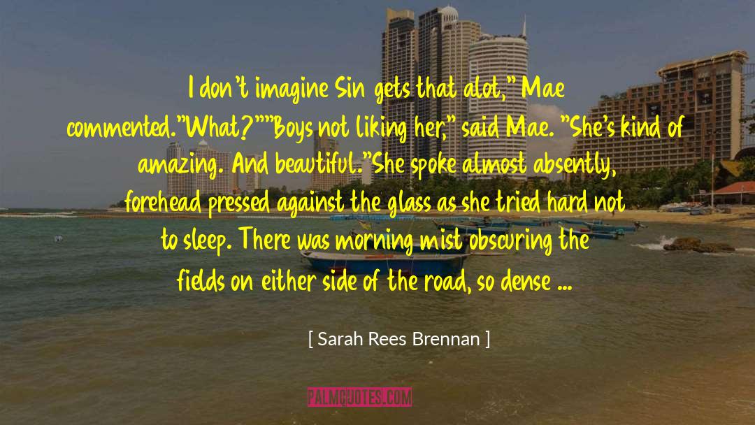 Morning Mist quotes by Sarah Rees Brennan