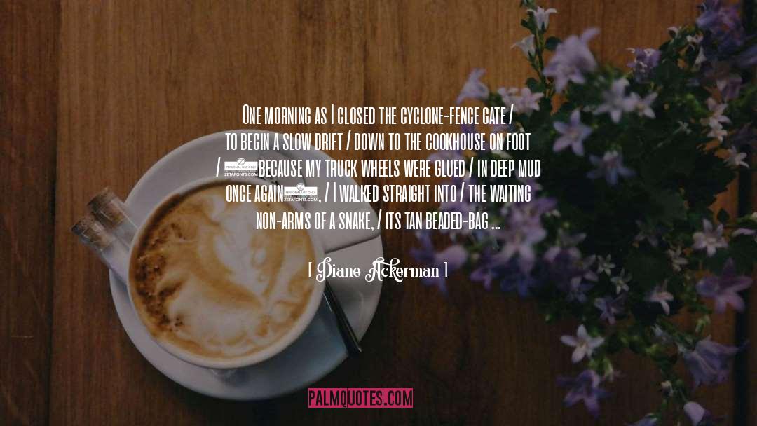 Morning quotes by Diane Ackerman