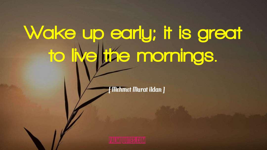 Morning Routine quotes by Mehmet Murat Ildan