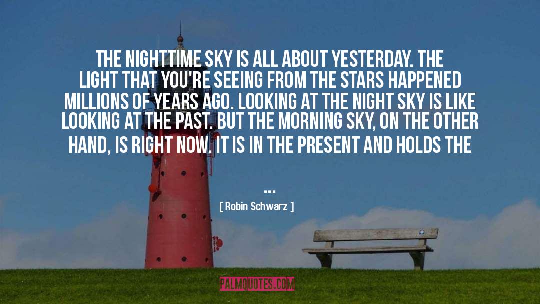 Morning Sky quotes by Robin Schwarz