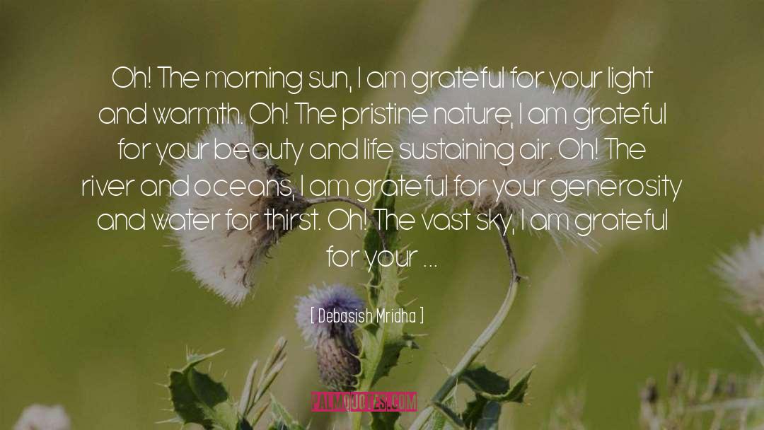 Morning Sun quotes by Debasish Mridha