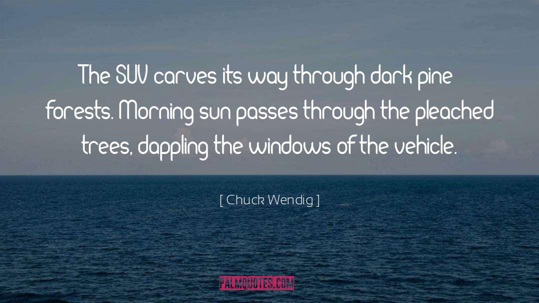 Morning Sun quotes by Chuck Wendig