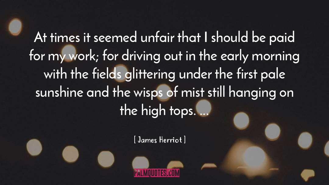 Morning Sunshine quotes by James Herriot