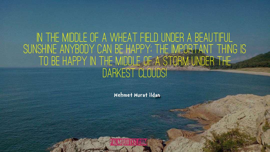 Morning Sunshine quotes by Mehmet Murat Ildan