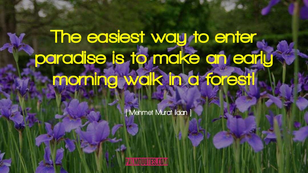 Morning Walk quotes by Mehmet Murat Ildan